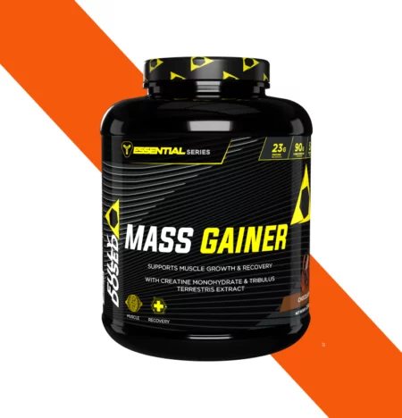 FULLY DOSED MASS GAINER